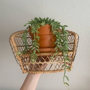 Vintage plant/doll stand